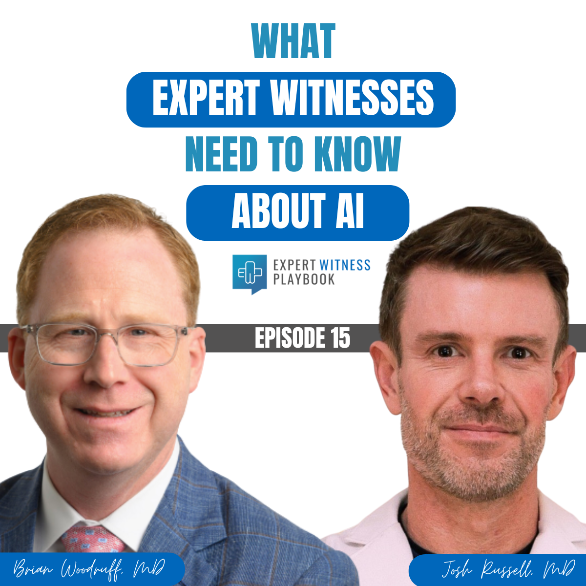 Episode 15 – What Expert Witnesses Need To Know About AI episode artwork